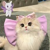 Bả