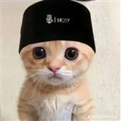 To