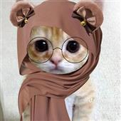 Lị