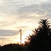Vị