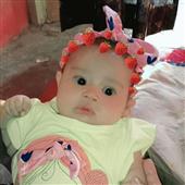 Tỷ