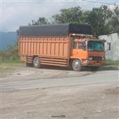 Bó