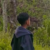 Dự