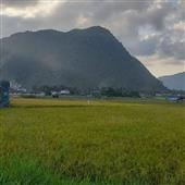 Mặ