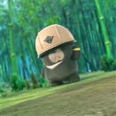 Ng