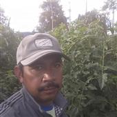 Cu