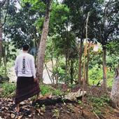 Nổ