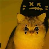 Cu