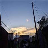 Cu