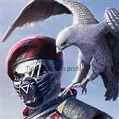 Gi