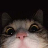 Ch