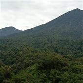 Cá