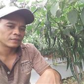 Cầ