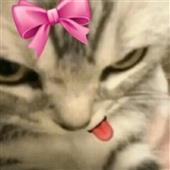Vi
