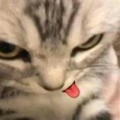 QU