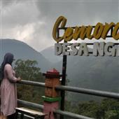 Cu