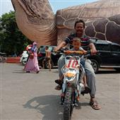 Hỏ