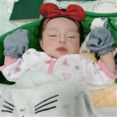 Hầ