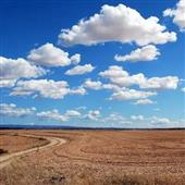 Wi