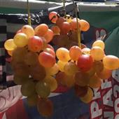 Vậ