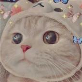Đặ
