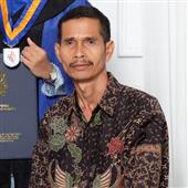 gấ