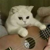 Nă
