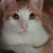 77