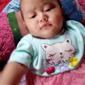 Bố