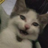 Ph