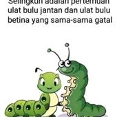 Đê