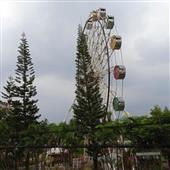 Cá