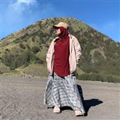 Gi