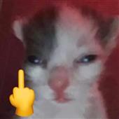 Đá