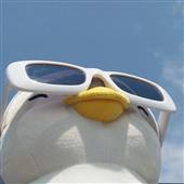 Ho