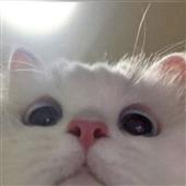 Vu