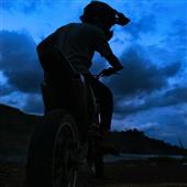 Dự