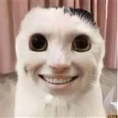 Sh