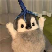 Pa