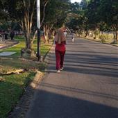 Bó