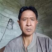 Cò
