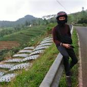 Cu