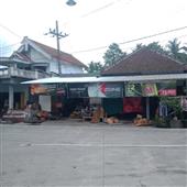 Bó