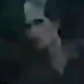 Vư