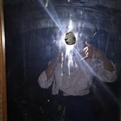 Tr