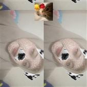 G-