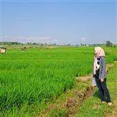Bắ