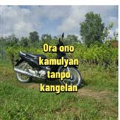 Vũ