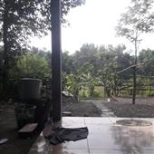 Tỷ