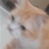 CH